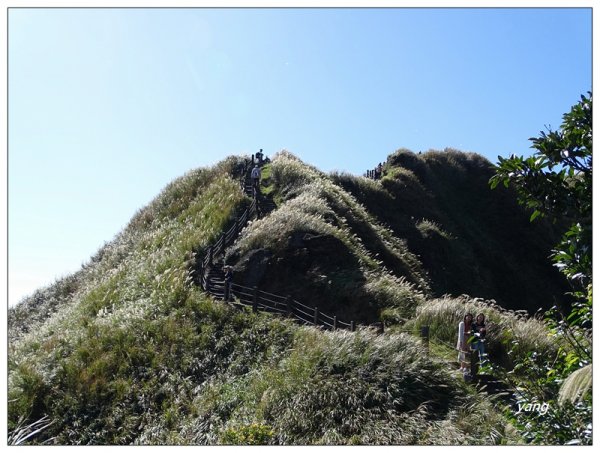 七星山主、東峰/芒花1152342