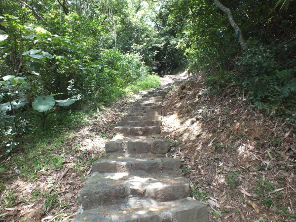 貴子坑步道、小坪頂山、嘎嘮別山、忠義山步道8字型走