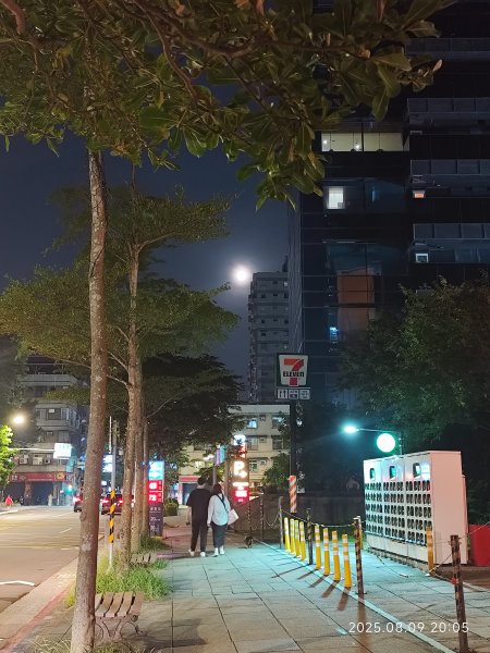 大稻埕 - 迪化街、大港墘公園【臺北健走趣】2855341