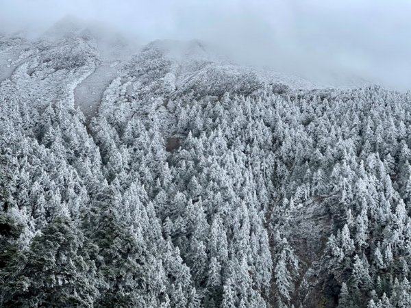 絕美銀白世界 玉山降下今年冬天「初雪」1236010