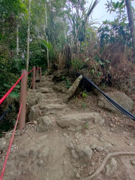 嘉義［阿拔泉山稜線步道］+太平雲梯2235715