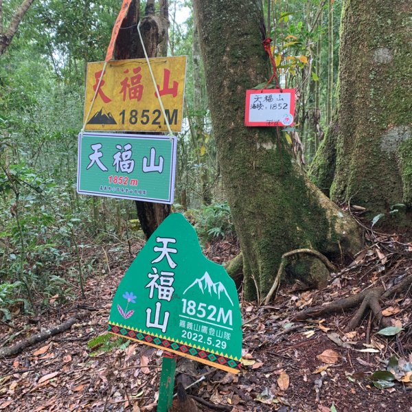 20251220嘉義凸龜山-芙蓉山-天福山2973837