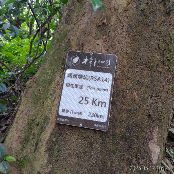 樟之細路RSA13、RSA14串走關西5山(燥坑山+苧子園山+上南片山+東坑山+雞寮坑山)