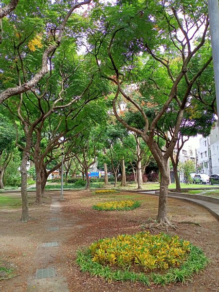 台北信義商圈步道、內湖文德三號公園、瑞陽公園【走路趣尋寶，全臺齊步走】1876825