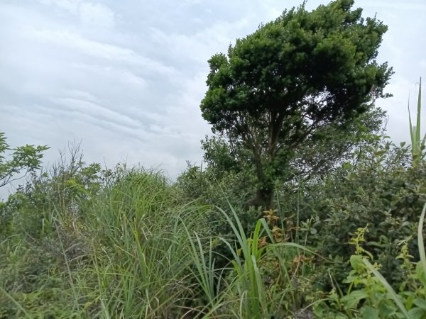瑞芳區瑞芳四秀(白象山+秀崎山+瑞芳山+龍潭山)2785221