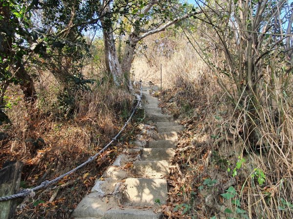 大社觀音山步道（小百岳）1252585