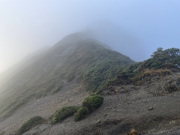 一日小O聖 2024 11/222865487