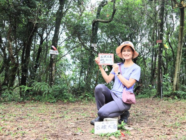 崩山大崙-石碇大崙2799080