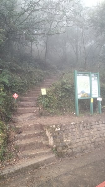 20250127_塔關山2706883