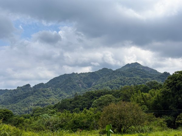 五分山系-菁桐煤礦段2874687