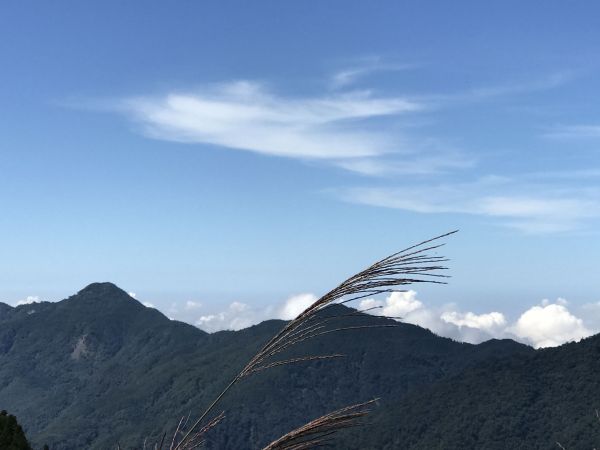 觀霧.榛山.雲霧步道179042