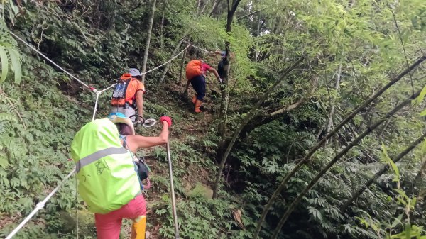 雙溪區烏山古道西線-大湖尾古道支線-大湖尾古道O型3098456