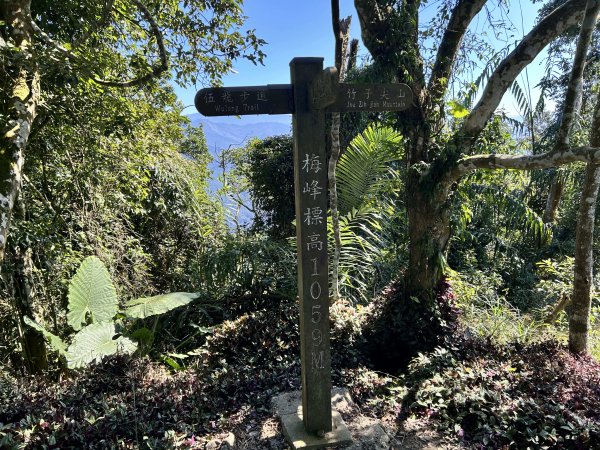 竹子尖山、梅嶺2943159