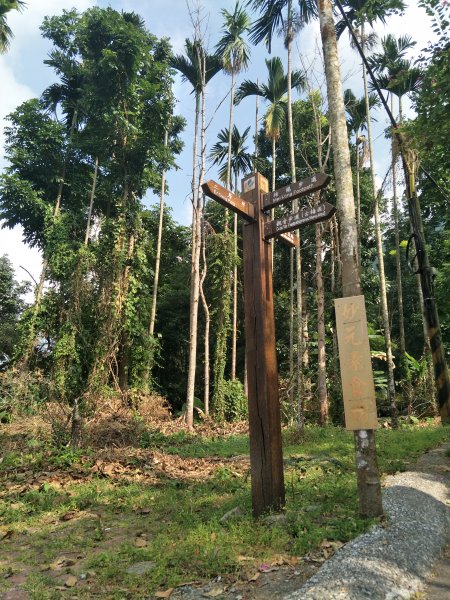 2019 11 14 竹子尖山步道735162