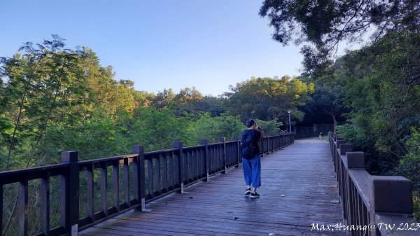 《台中》午後斜陽｜中科東大公園步道202311042336964