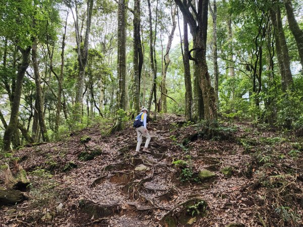 谷關七雄⛰屋我尾山2400780