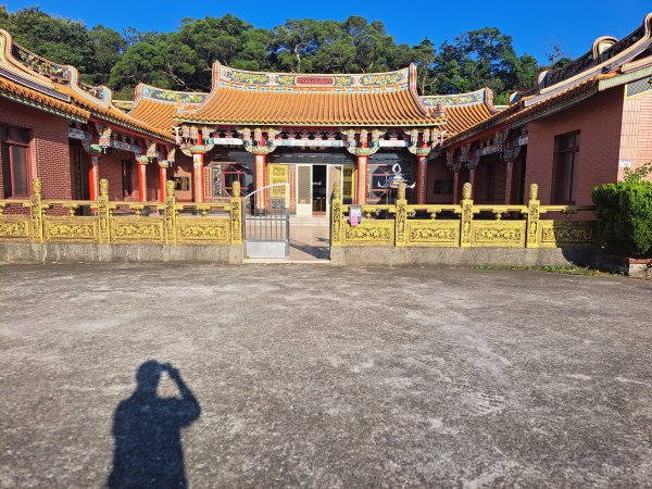 霄裡好風光2895733