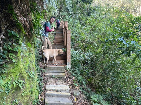 金童山.汶水山.玉女山【冬天的郊山縱走=高山等級的享受】2680958