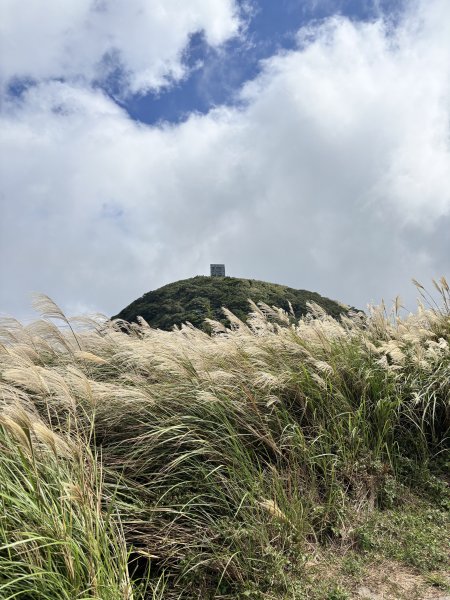 面天山、向天山、向天池2921045