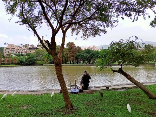 大溝溪生態治水園區、大湖公園 (防災公園) 【走路趣尋寶】1898041