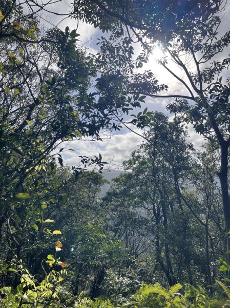 月扇湖大岩壁2952411