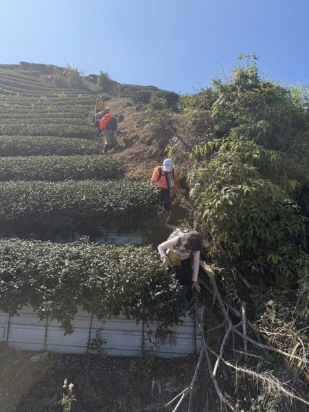 鹿谷小半天七連峰2992104