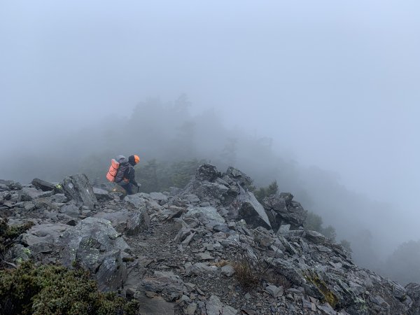 奇幻之旅~屏風上奇萊566024