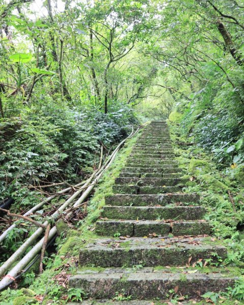 菁桐古道-磐石嶺古道2799099