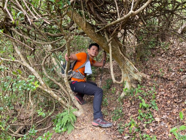 巴層巴墨山【一趟讓人刷新三觀的山林之旅】2714500