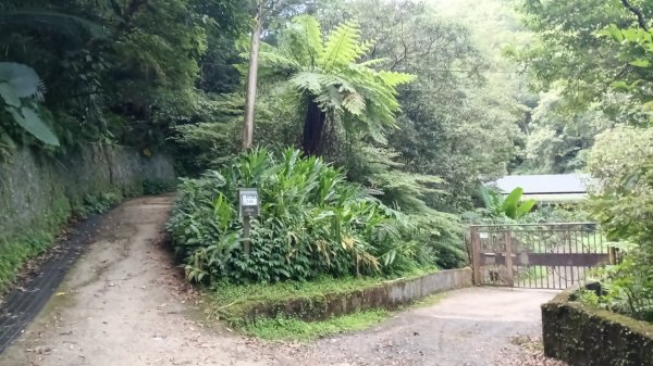 文山區草湳大榕樹-貓空圓山東北峰-貓空圓山-次格中繼站-貓空尖-二格山步道-草湳大榕樹3130183