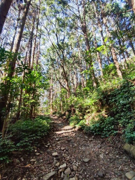大雪山長壽三崠2691100