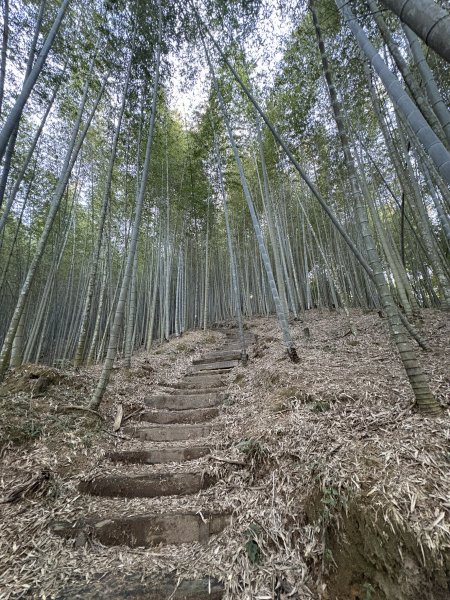 20251221嘉南雲峰、石壁山登山步道2968082