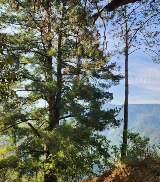 【中級山】邑治第一山，守城大山，連走守關山，守關山南峰2740889