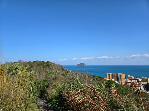 槓子寮砲台、槓子寮山步道（龍崗步道）（小百岳）2701995