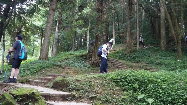 東眼山登山健行趣(小百岳22號)1544316