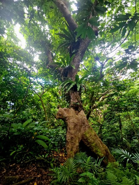 紅頭山-小百岳#97-台東縣蘭嶼鄉2901075