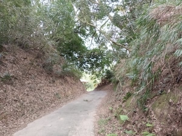 寶山鄉寶山水庫(寶山東峰+中峰+中西峰+西峰+西北峰)+尖山O型3012513