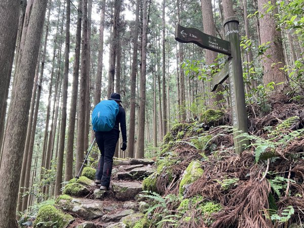 熊野古道參訪4日2805089