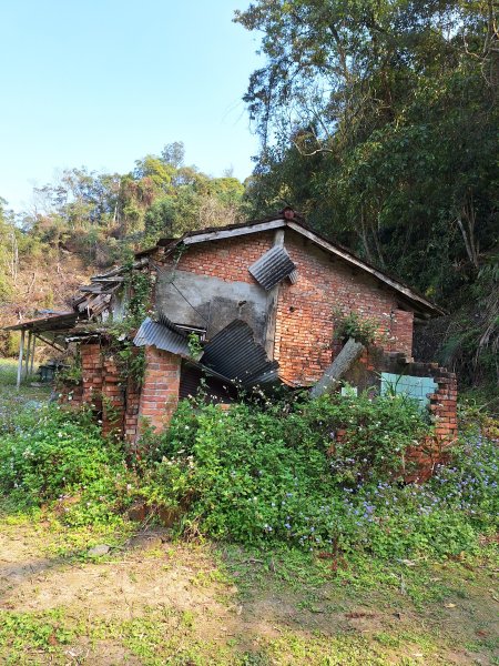 五茶縱走南庄段來回(南庄老街至橫屏背東峰)202403172457193