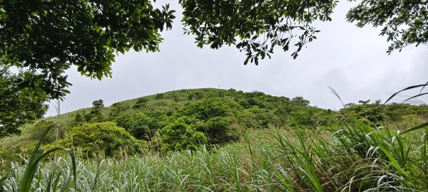 2026/04/24 鵲子山步道3043043