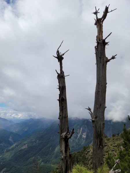   玉山前五峰＋北北峰(百岳21~24)1148355