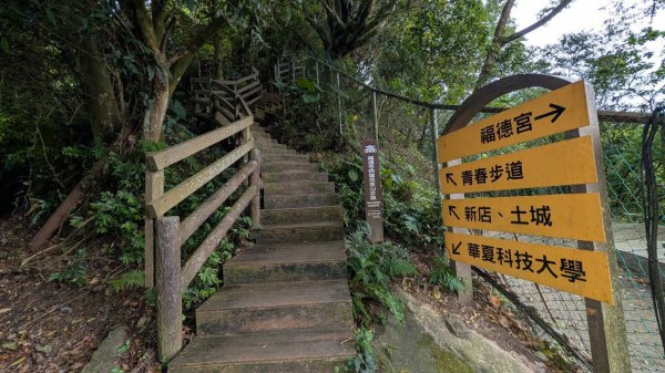 南勢角山步道3122083
