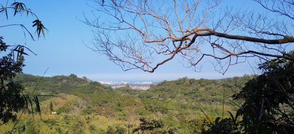 2026/01/04_龍峎頂+肚兜角步道2978147