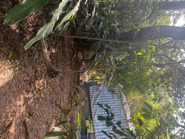 偷吃步之台北天際線第十段2777814