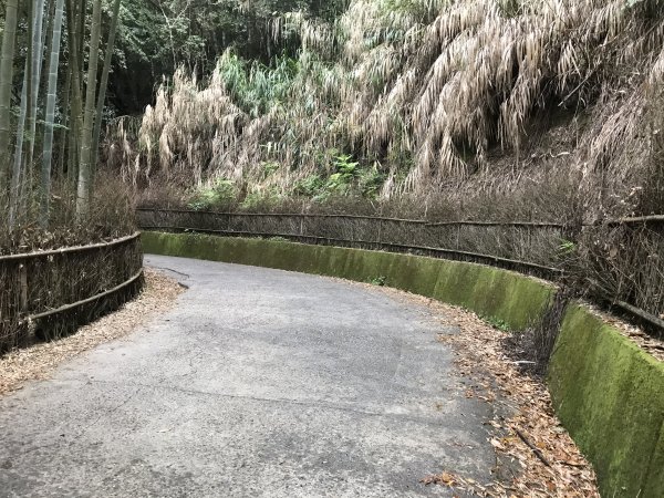 110年4月25日雲林  雲嶺之丘 五元二角 木馬古道1456547