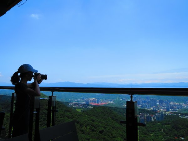 搭著捷運去旅行-白石湖賞花輕旅行610482