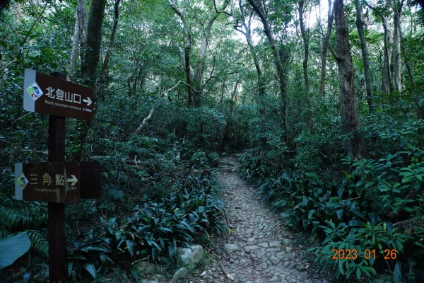 屏東 獅子鄉 里龍山(里隆山、里瀧山、鯉龍山)、下里龍山2018542