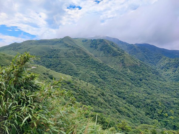 環七星山人車分道步道-百拉卡公路入口至冷水坑段 - 走遍陽明山尋寶任務2255054