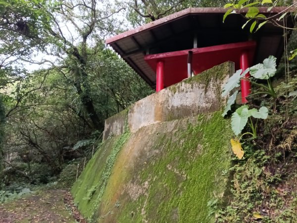 雙溪區石壁坑橋+平林山+武山煤礦土地公+上林山稜線+彎穹越嶺古道+石壁坑橋O型2991281