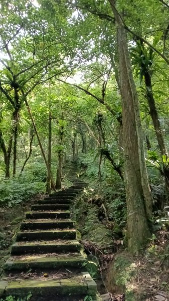 平溪區石筍尖步道P字走3122356